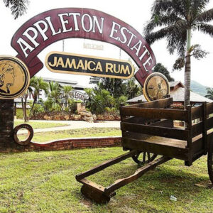 appleton rum and pelican bar tour